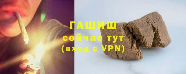 хмурый Белокуриха